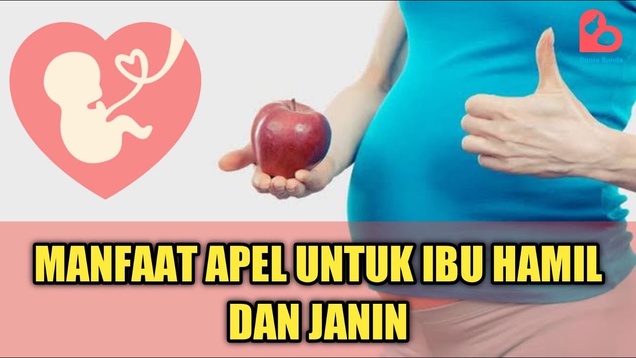 apel manfaat janin hamil ibu wah ternyata tepat pagi