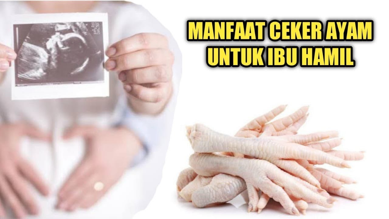 manfaat ayam untuk ibu hamil terbaru