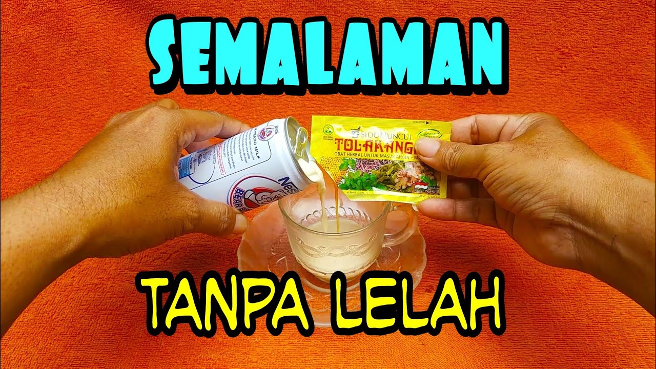 manfaat susu beruang campur tolak angin