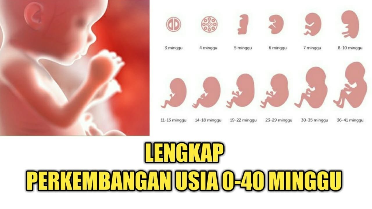 ibu hamil kesehatan sehat janin menjaga tentang infografis kehamilan doa tetap bayi kata cerdas ide mudah senam materi parenting health