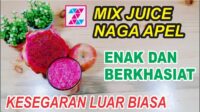 manfaat jus buah naga mix apel terbaru