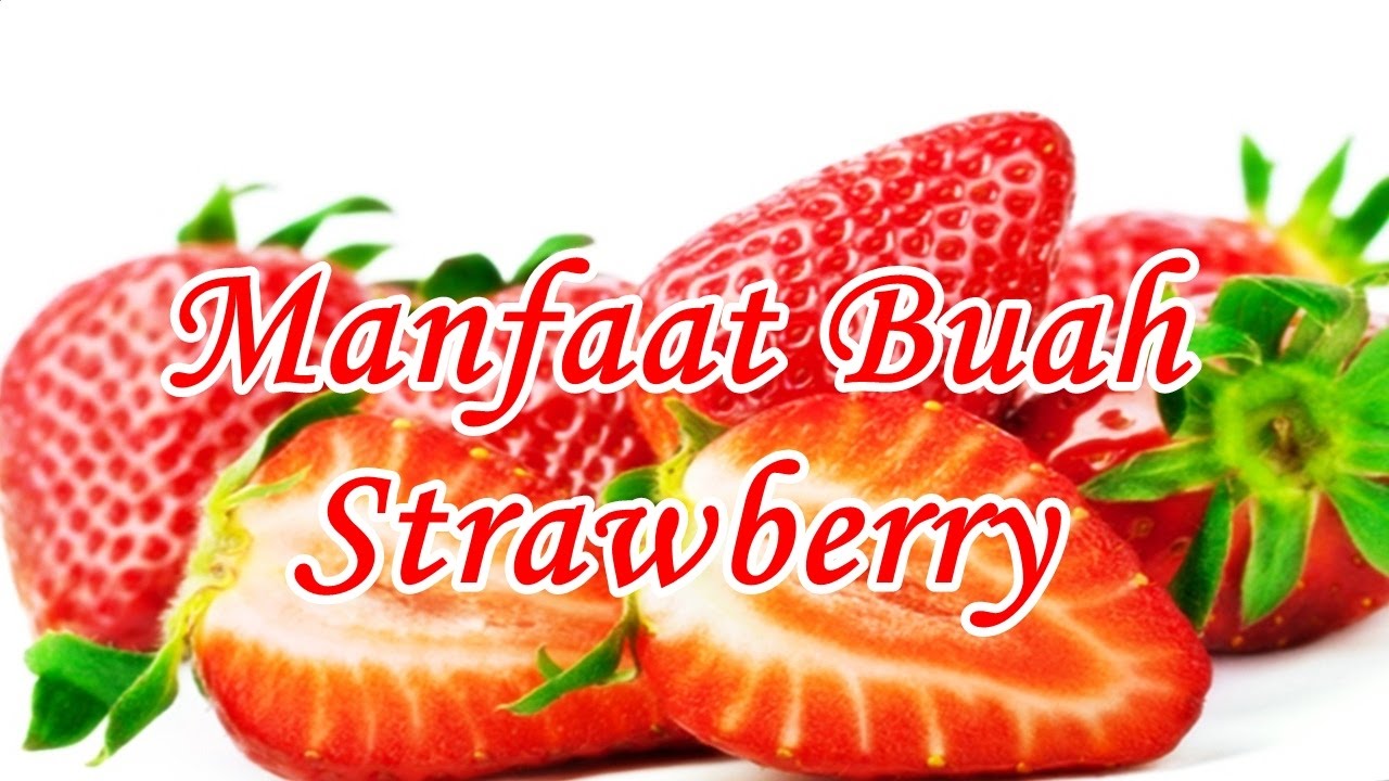 strawberry manfaat berbagai khasiat buah bedah kulit bagi perawatan terbukti namun nikmat memberikan tidak