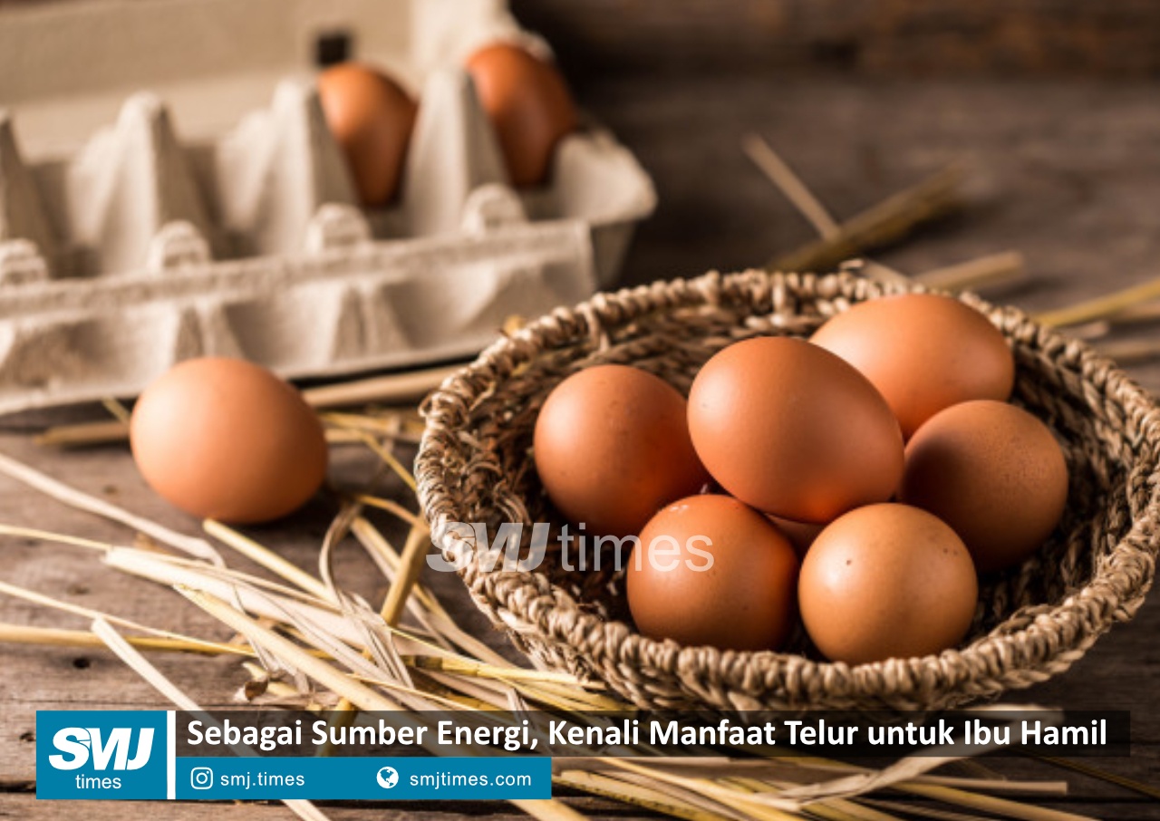 manfaat putih telur untuk ibu hamil