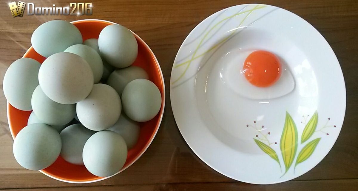 manfaat kuning telur bebek mentah bagi pria